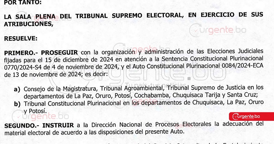 Urgente: El TSE decide proseguir con las judiciales que serán parciales y en algunas regiones